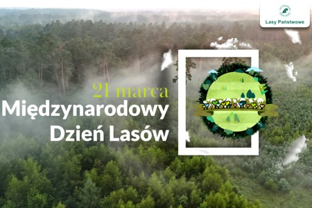 fot. Nadleśnictwo Szubin