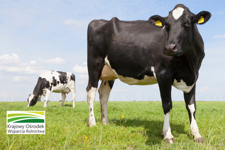 fot. Krajowy Ośrodek Wsparcia Rolnictwa